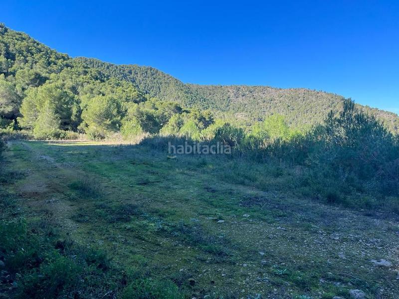 Foto a659ccf0-7523-4e2e-80b8-221cea1c574a. Finca rústica a n/a a Tavernes de la Valldigna