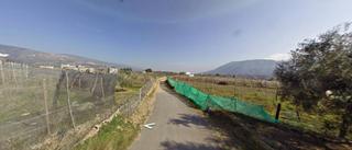 Masia a Padules. Finca rustica con viñedos