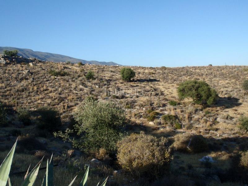 Foto 7f31fdce-d0e7-4594-aab6-61290a58b6f2. Masía pintoresco terreno con cortijos a rehabilitar. desde 6400 m2. en Dalías