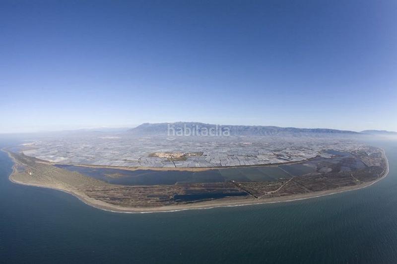 Foto a047cf53-dc96-4c4a-9b8b-5fbdd43ead2c. Miete geschäftsraum in Ejido centro Ejido (El)