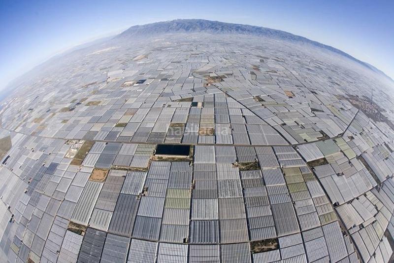 Foto 03097104-6f5a-4f65-a45b-b98b4eb88afa. Rent business premise in Ejido centro Ejido (El)