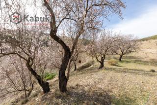 Terreny residencial a Guadix - aute. valle del zalabi. Buscas un lugar tranquilo donde disfrutar de la naturaleza? no b