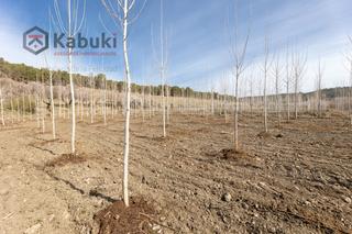 Terreny residencial a Guadix - aute. valle del zalabi. Buscas estar en contacto con la naturaleza? tenemos la solucion!