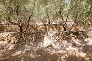 Fondo rustico in Pinar El - Pantano de Beznar
