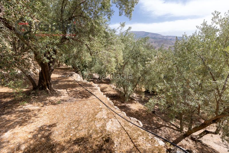 Foto 05798c67-8685-46de-a28b-af127faed584. Finca rústica a pinar el - pantano de beznar a Pinar (El)