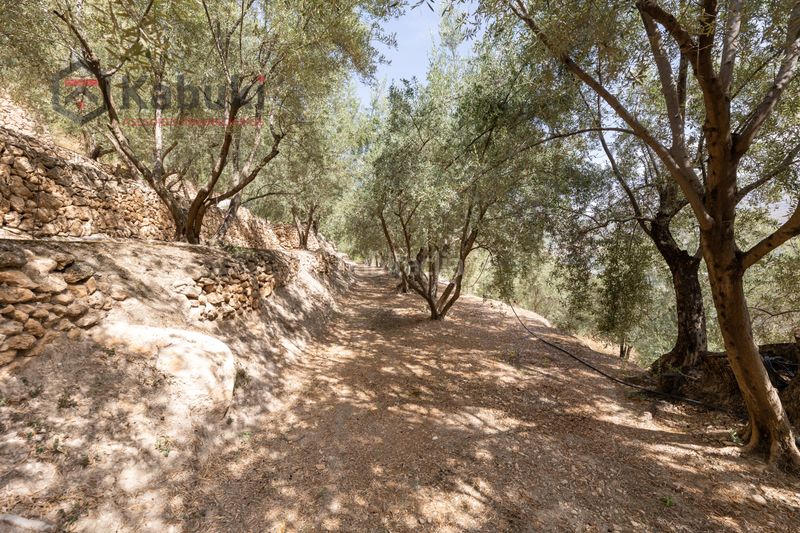 Foto 2fc4d2b5-6ff4-4f72-8d16-cfbd4ba7ddc1. Finca rústica a pinar el - pantano de beznar a Pinar (El)
