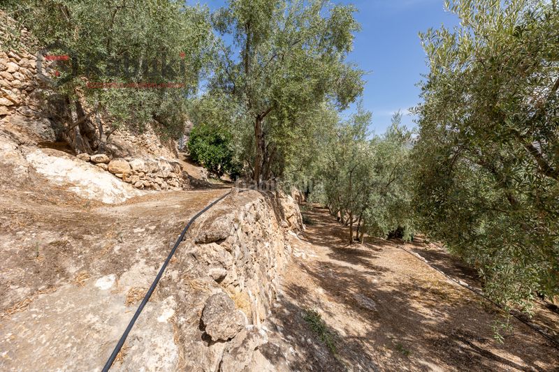 Foto 5a0c5c81-56cd-4ef1-85f6-d8e66b08eaff. Finca rústica a pinar el - pantano de beznar a Pinar (El)
