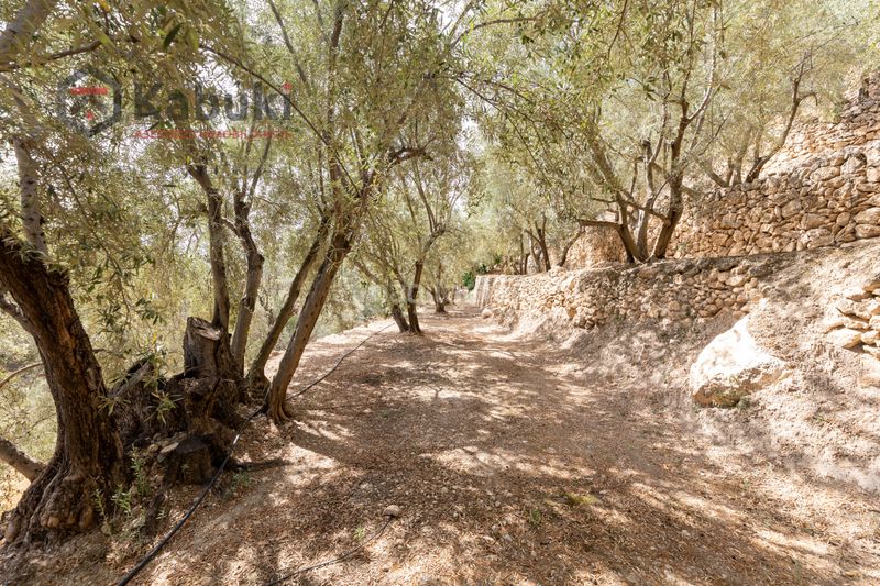 Foto 974465bc-a786-4530-bfe8-9a6d610f958c. Finca rústica a pinar el - pantano de beznar a Pinar (El)