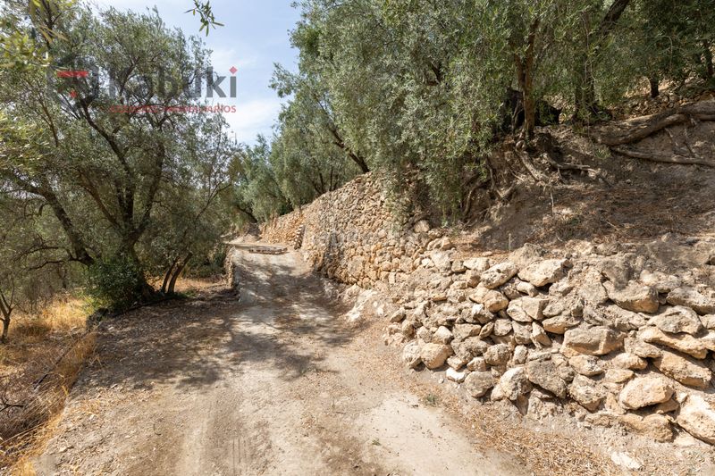 Foto a888d43b-497e-4f93-88ec-e02e9774e09e. Finca rústica a pinar el - pantano de beznar a Pinar (El)