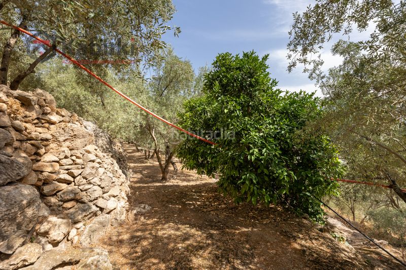 Foto aba9a5ae-73fe-4a80-a12d-a72fb2c5ec8f. Finca rústica a pinar el - pantano de beznar a Pinar (El)