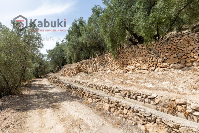Foto aeebd568-9554-4bee-8f43-46aee0e7cbfc. Finca rústica a pinar el - pantano de beznar a Pinar (El)