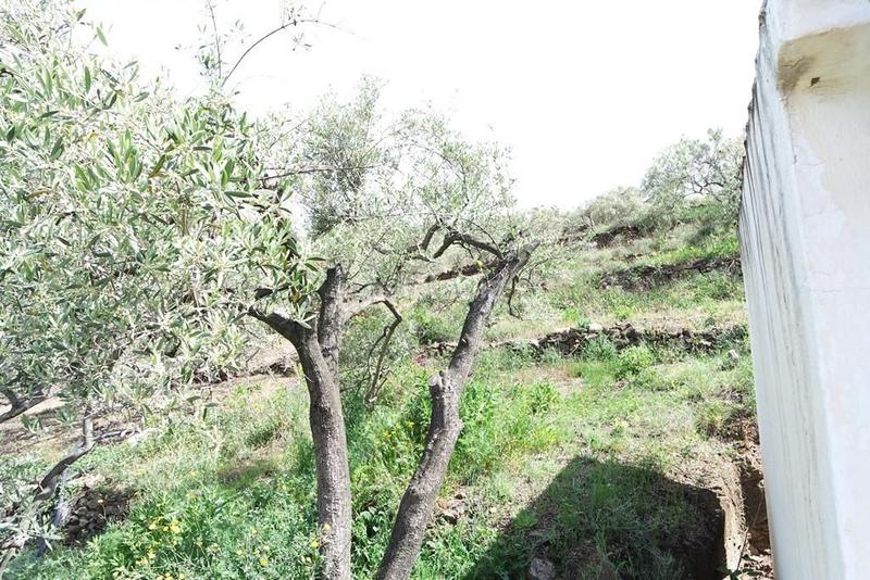 Foto 0a119179-8f2b-4a1b-94f5-bf13ce4ae498. Casale in Torrox pueblo Torrox