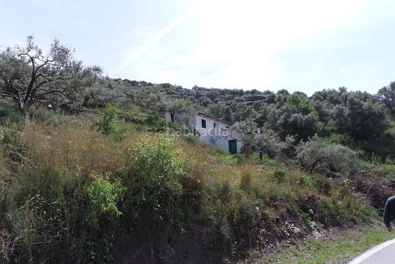 Foto 29a4b604-d8db-40b3-92a0-64c555c06cde. Casale in Torrox pueblo Torrox