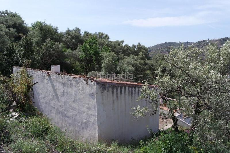 Foto 2eed5a53-2d25-4529-ba22-88e8321e2bc9. Casale in Torrox pueblo Torrox