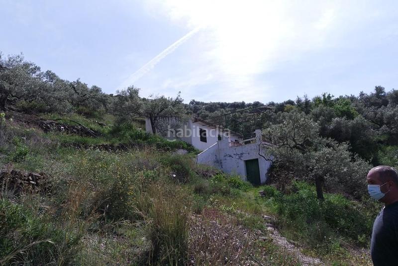 Foto 3ce8b2dc-c6fb-4d6e-b6c9-11a3860e8967. Casale in Torrox pueblo Torrox