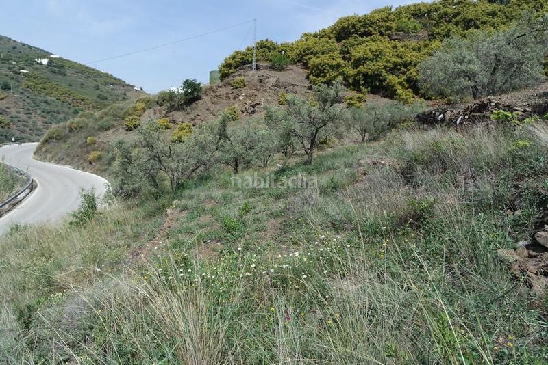 Foto 9aaf9245-e583-449f-adb1-d6072d8e1ed9. Casale in Torrox pueblo Torrox