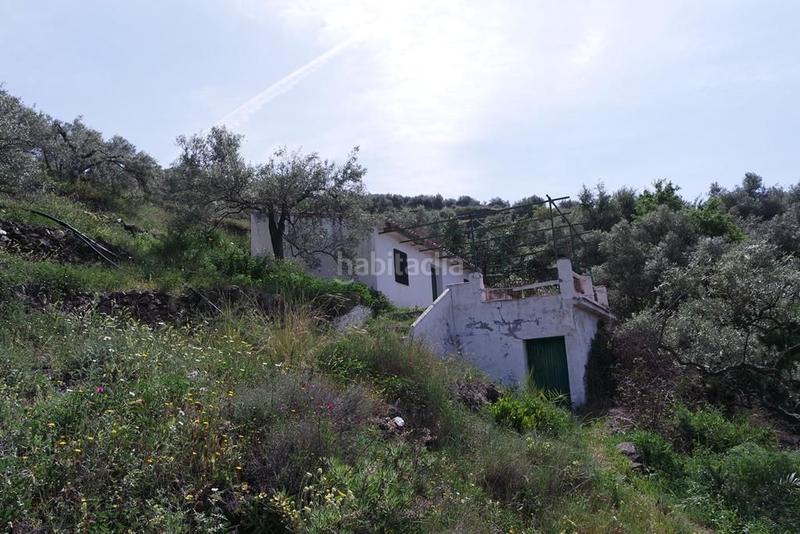 Foto e916e07e-87c7-4c65-879c-48156ffc080e. Casale in Torrox pueblo Torrox