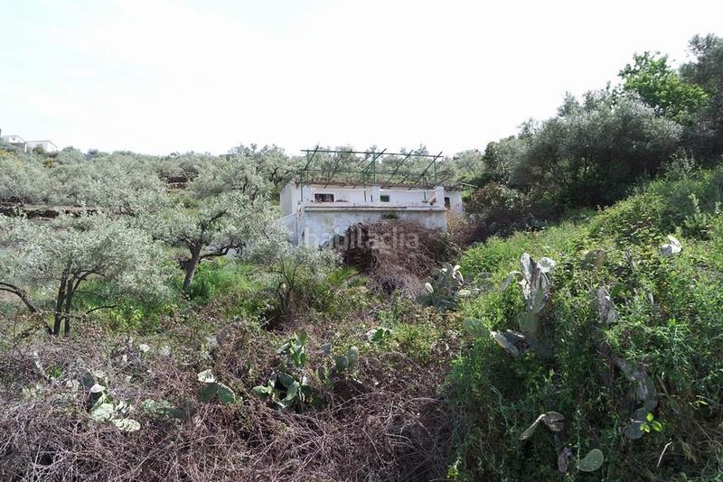 Foto f898c530-4388-42db-a443-67e4250d7d6e. Casale in Torrox pueblo Torrox