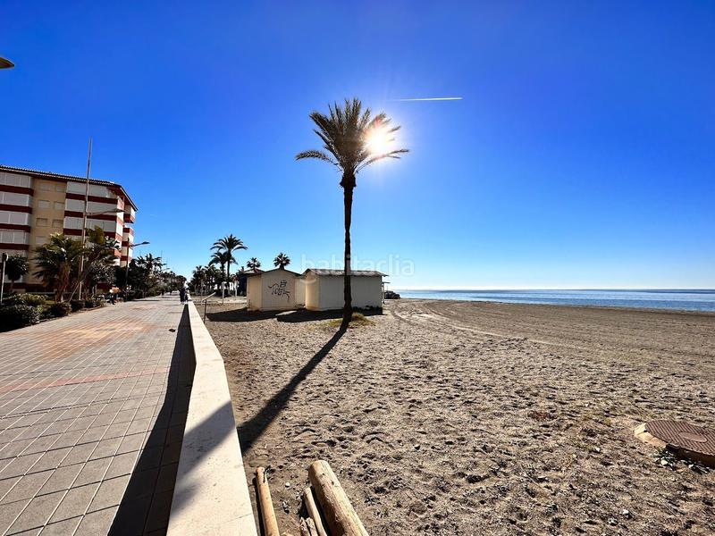 Foto de79a6e6-236d-4103-9c69-8ce44bba8d57. Local comercial pub con tradicion en la playa costa en Torrox
