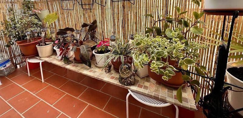 Foto c129f808-848e-4db2-b78a-922a91656bf9. Apartamento  único y céntrico balcon de europa en Nerja
