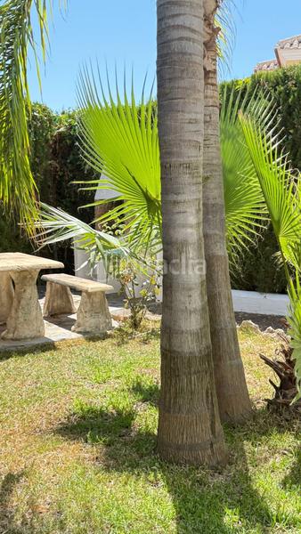 Foto 164116c9-48d5-49cb-8d25-83e36974fa4c. Duplex con piscina in Chaparil - Torrecilla - Punta Lara Nerja