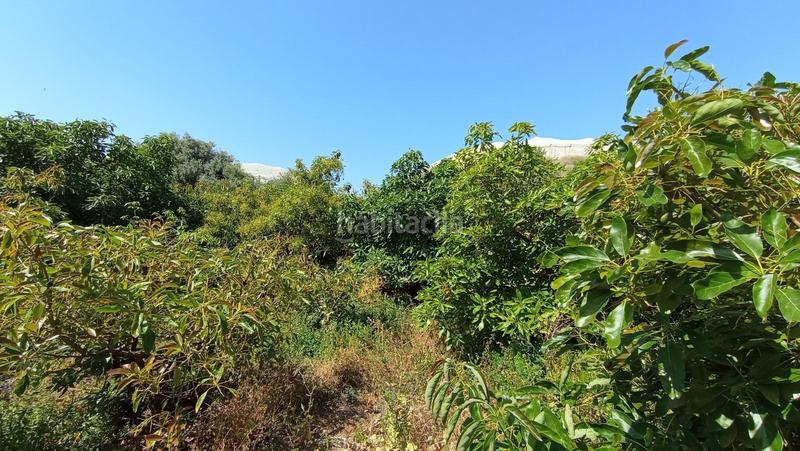 Foto 069683a2-4d9e-4a2c-acd5-b885f9a4a7e6. Finca rústica a Lagos