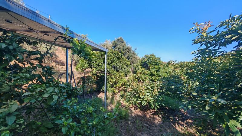 Foto 00173bf2-bdad-48e0-823c-2afee6d816de. Finca rústica a Lagos