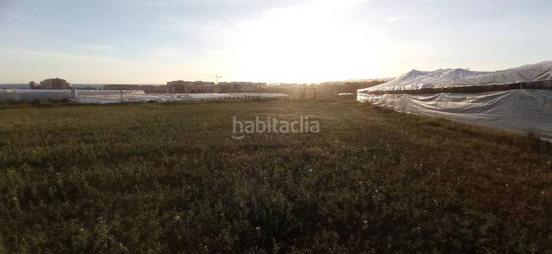 Foto 39cb02c0-dcf6-44b0-ba30-573513a100c5. Finca rústica parcela llana cerca del mar en Trayamar Algarrobo