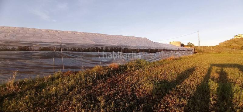 Foto 56e70294-14f3-400f-992d-d1b481cf9539. Finca rústica parcela llana cerca del mar en Trayamar Algarrobo