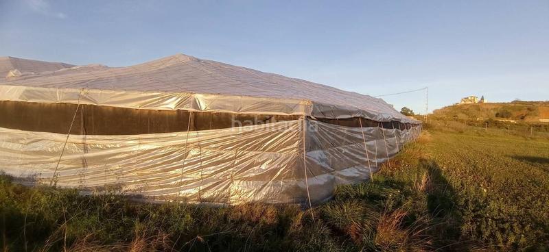 Foto 778c897f-3ab3-405d-bac6-77a28babd376. Finca rústica parcela llana cerca del mar en Trayamar Algarrobo