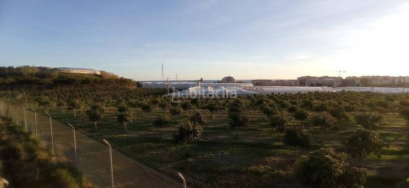 Foto d6bc9a55-a581-4b8d-82d8-1dca440ce042. Finca rústica parcela llana cerca del mar en Trayamar Algarrobo