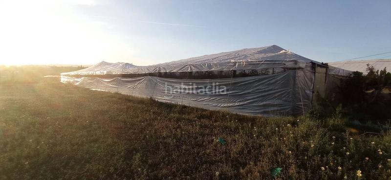 Foto ec979e68-1bbb-4c2e-90b6-24b3b47b5827. Finca rústica parcela llana cerca del mar en Trayamar Algarrobo