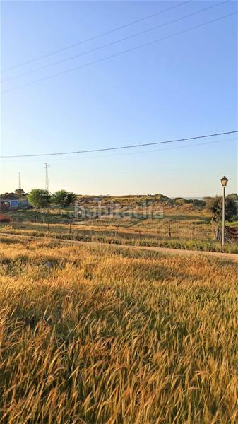 Foto aee016dd-4ea6-478f-b578-edfabdc83eb8. Propriété dans Gerena