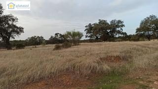 Finca rústica  Poligono. Terreno a la venta con agua y luz a pie de parcela en arroyo de