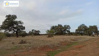 Finca rústica  Poligono. Magnífica oportunidad a la venta, 3.490 m2 de terreno con agua y