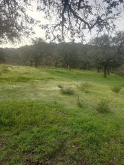 Masia  Dehesa la mina. Finca con 20 hectáreas a la venta en el mejor entorno rural de s