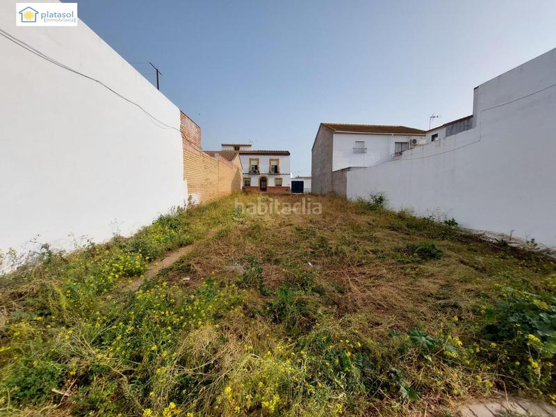 Foto d29d98b0-c3ff-40ca-b00e-d9531b4de3f4. Terrain résidentiel dans Gerena