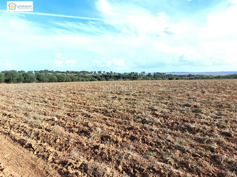 Foto 05a50395-7def-4cb8-9f39-65df06194bf3. Propriété dans Gerena