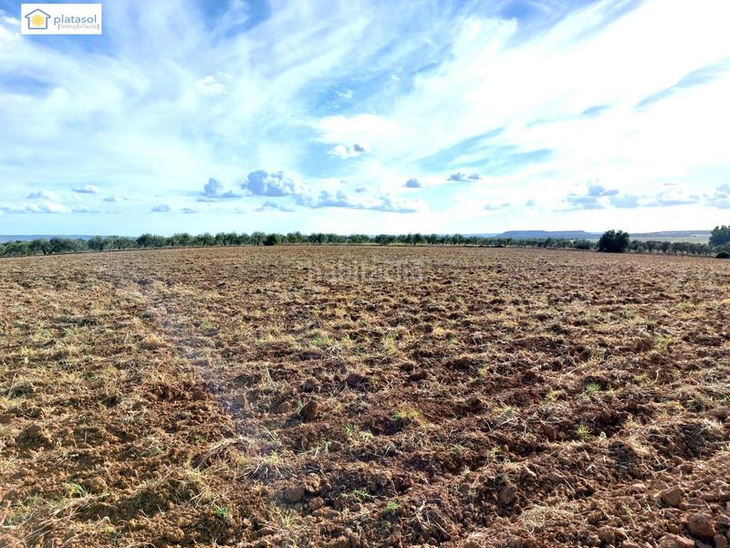 Foto 0e6d2417-1748-40be-b27b-048ece48ee40. Propriété dans Gerena