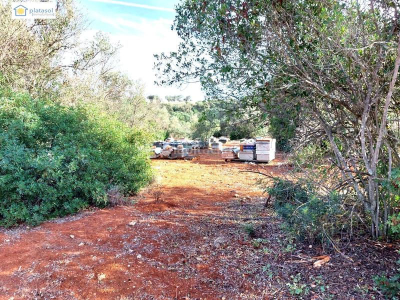 Foto 15345aaa-0657-4c3c-b294-991f01585a45. Propriété dans Gerena