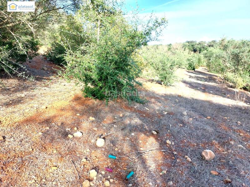 Foto 1645509e-3d0b-4ccb-a7e2-81427b3cc548. Propriété dans Gerena