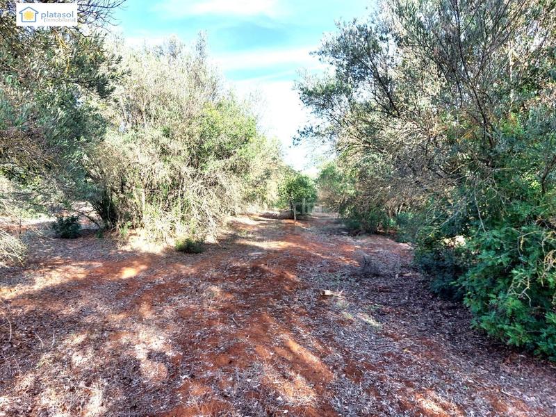 Foto 387cc9f2-895c-46cd-8b5e-7795b2fcef22. Propriété dans Gerena