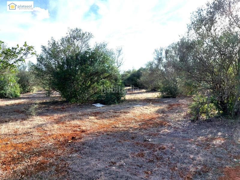 Foto 3b7d1fb9-6d0c-4578-b66d-5f59264cf90a. Propriété dans Gerena