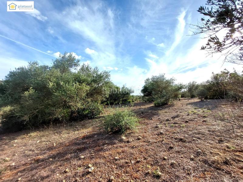 Foto 428699a9-f729-4e72-b3a4-7afb5a5c9a7c. Propriété dans Gerena