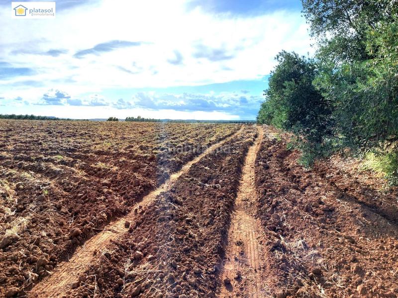 Foto 5e0bdde9-d28c-4602-bb5c-11a2aec78575. Propriété dans Gerena