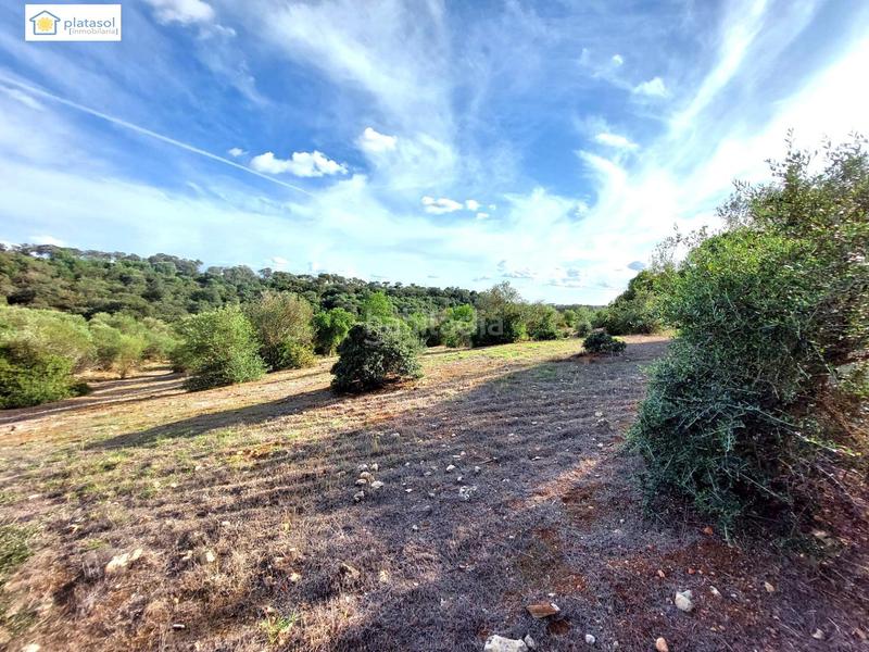 Foto 753b092b-0456-4378-ae20-ad9c26e81bd2. Propriété dans Gerena