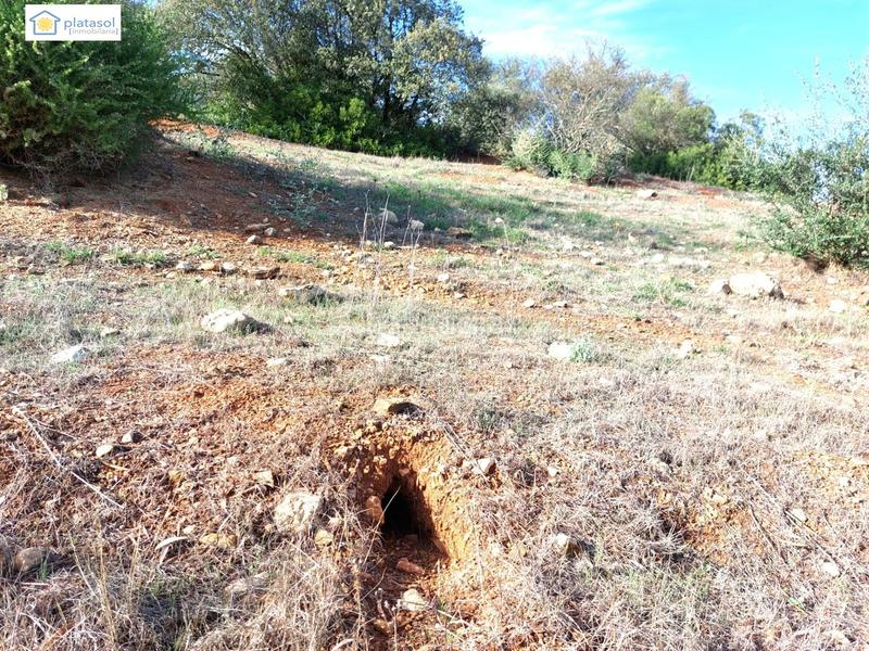 Foto 8df8181f-0b77-4ac5-89ad-8280cab1db98. Propriété dans Gerena