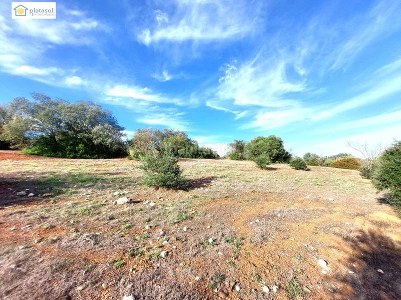 Foto 9148d4e0-1fde-46c8-9961-01ac04e5ffca. Propriété dans Gerena