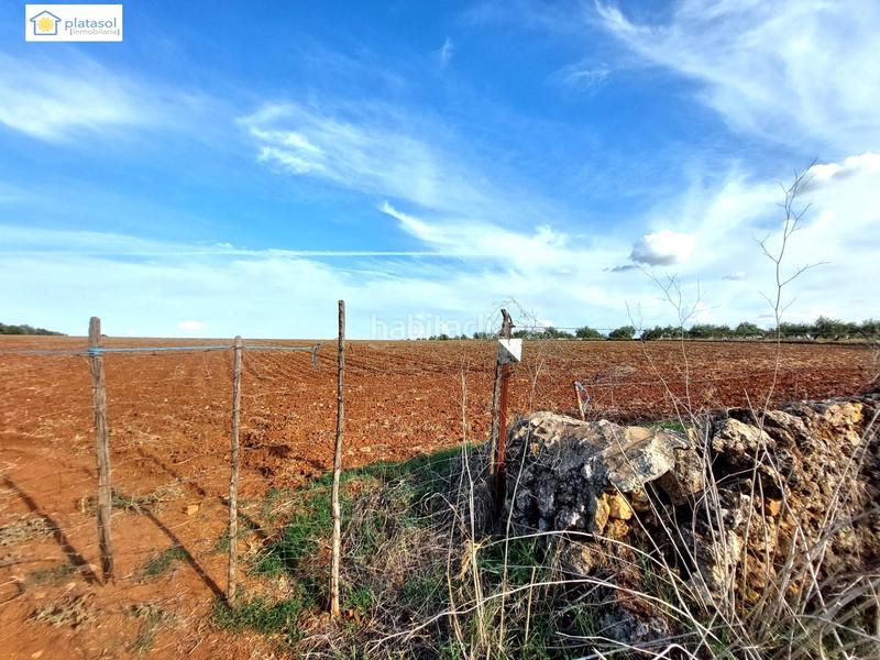 Foto 918bb730-c37c-4ecc-a5dd-74cc1ef54530. Propriété dans Gerena