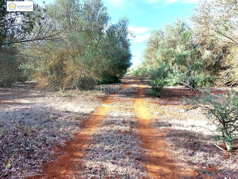 Foto 92fd7917-846f-44c2-8536-24f8716ee9ec. Propriété dans Gerena